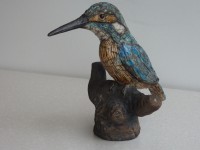 /album/galerie-photos/martin-pecheur-2-jpg/